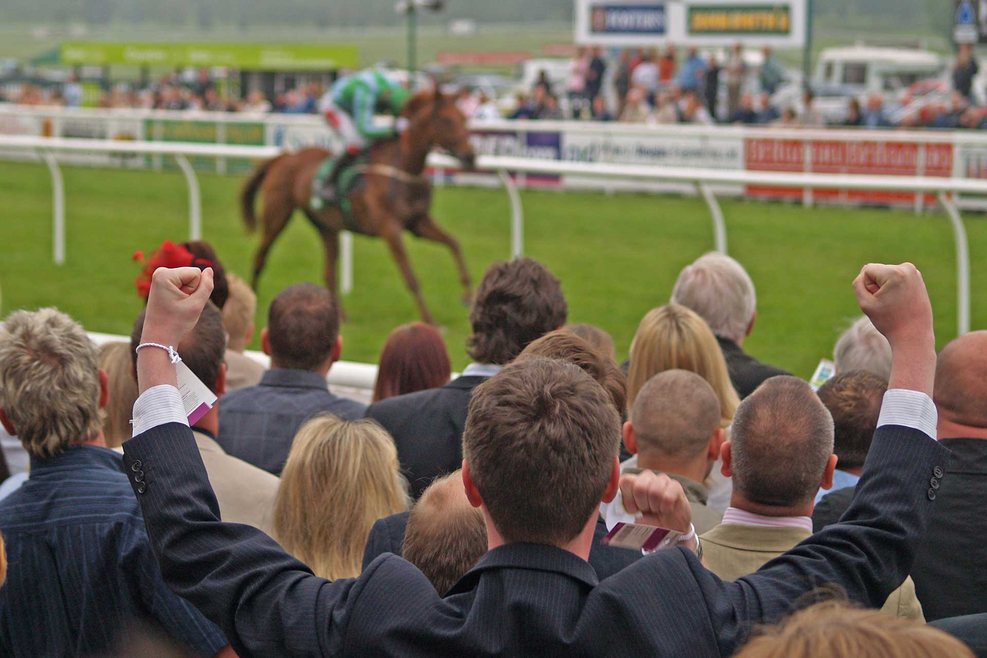 Cheltenham Races