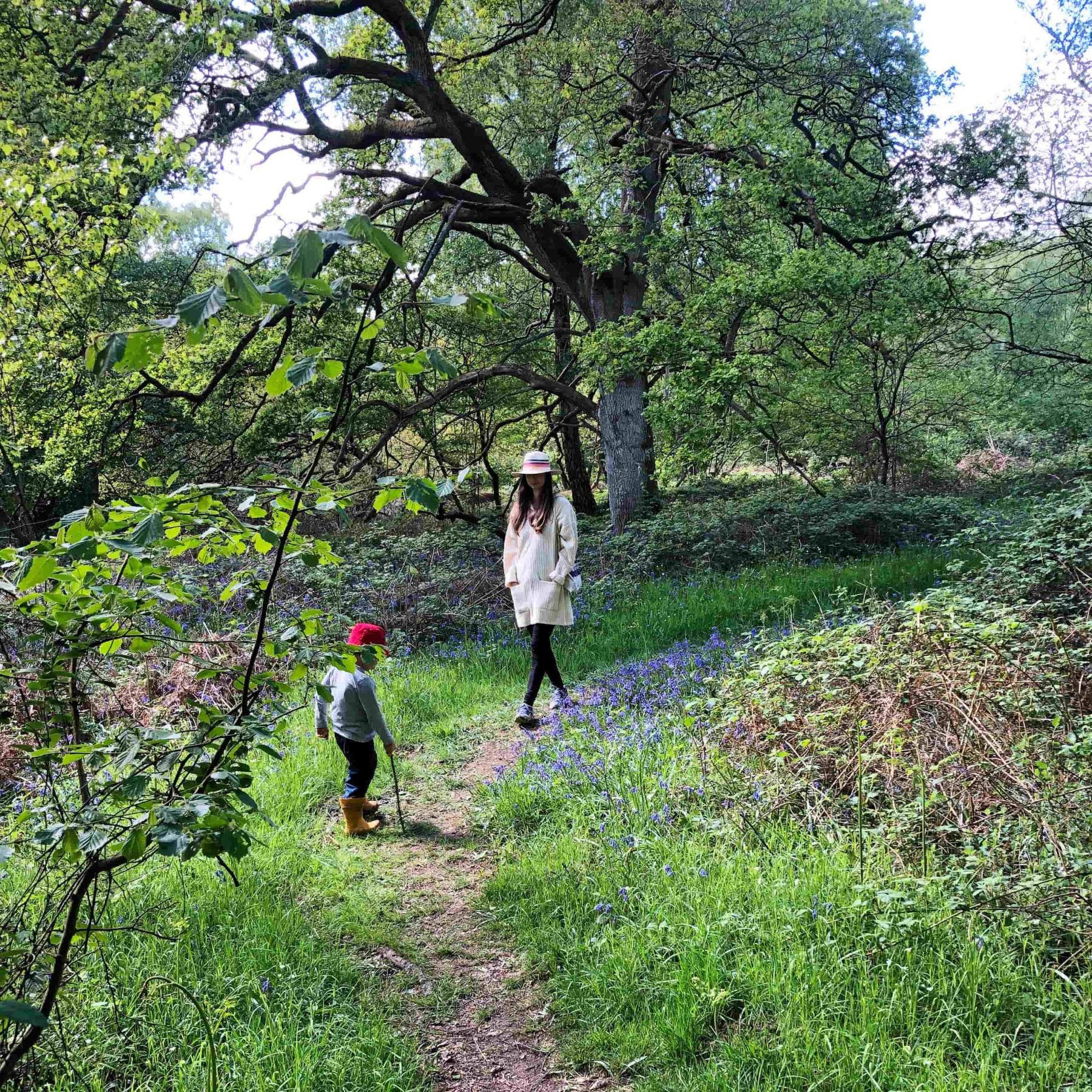 A family walk through Foxholes nature reserve