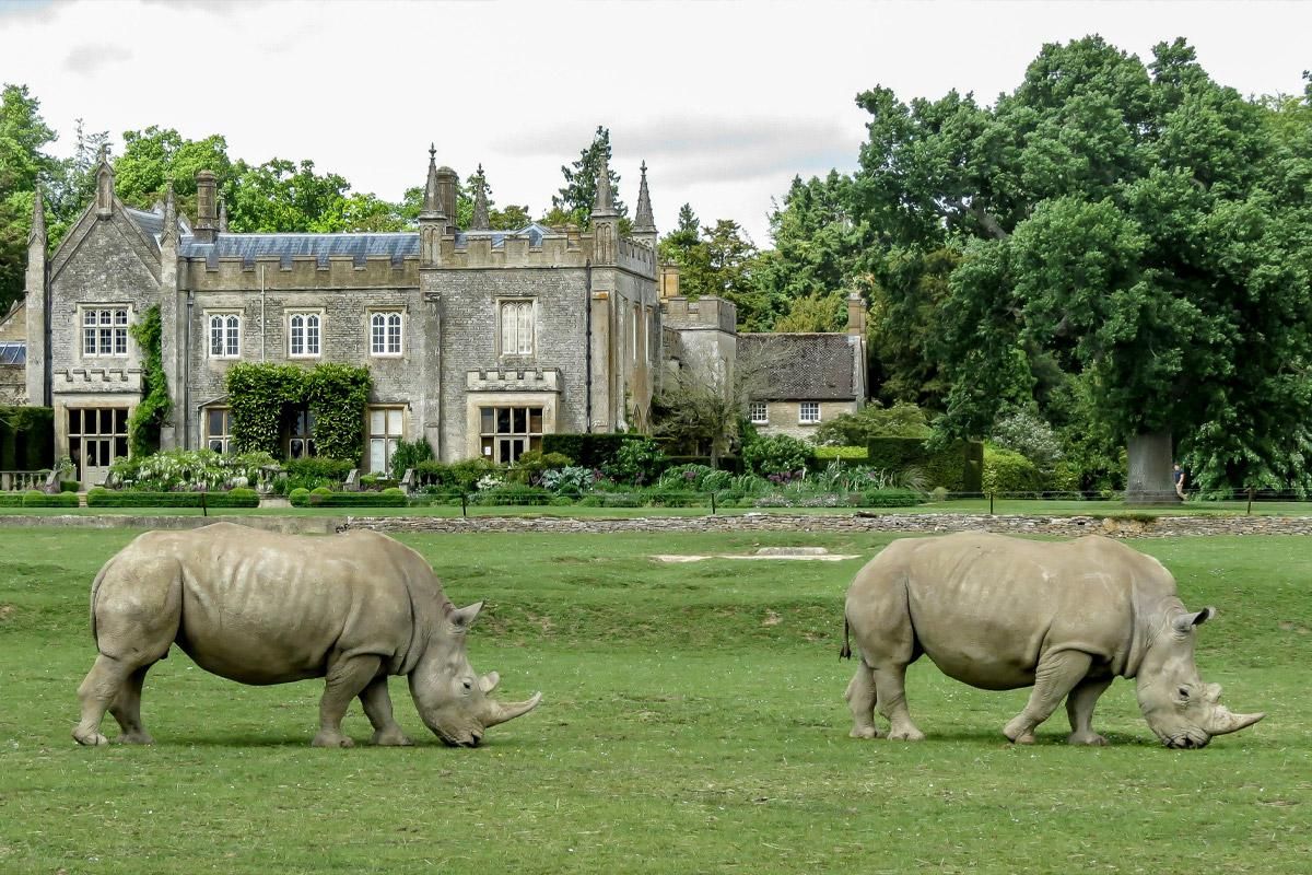 <h2>Cotswold Wildlife Park & Gardens</h2>