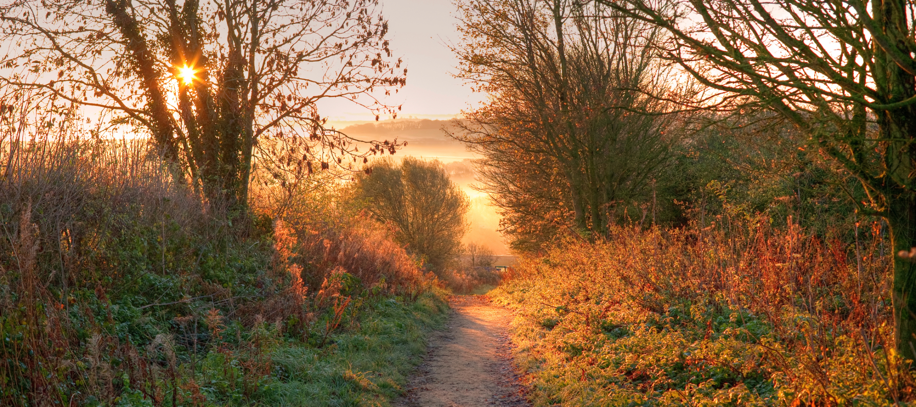 The Cotswold Way near Chipping Campden