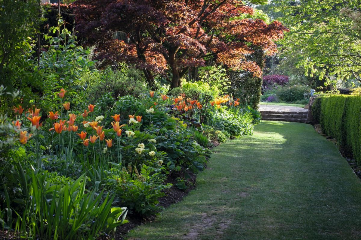 Kiftsgate Court Gardens