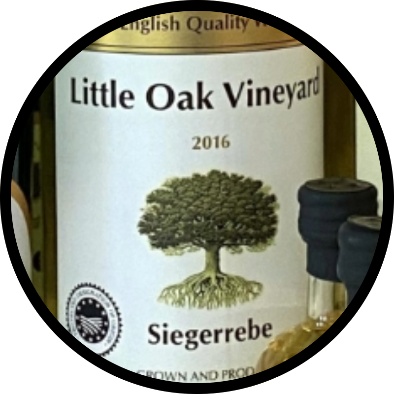 Little Oak Vineyard Siegerrebe